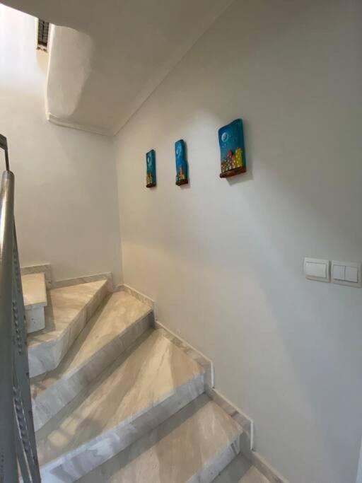 Belvedere Flogita