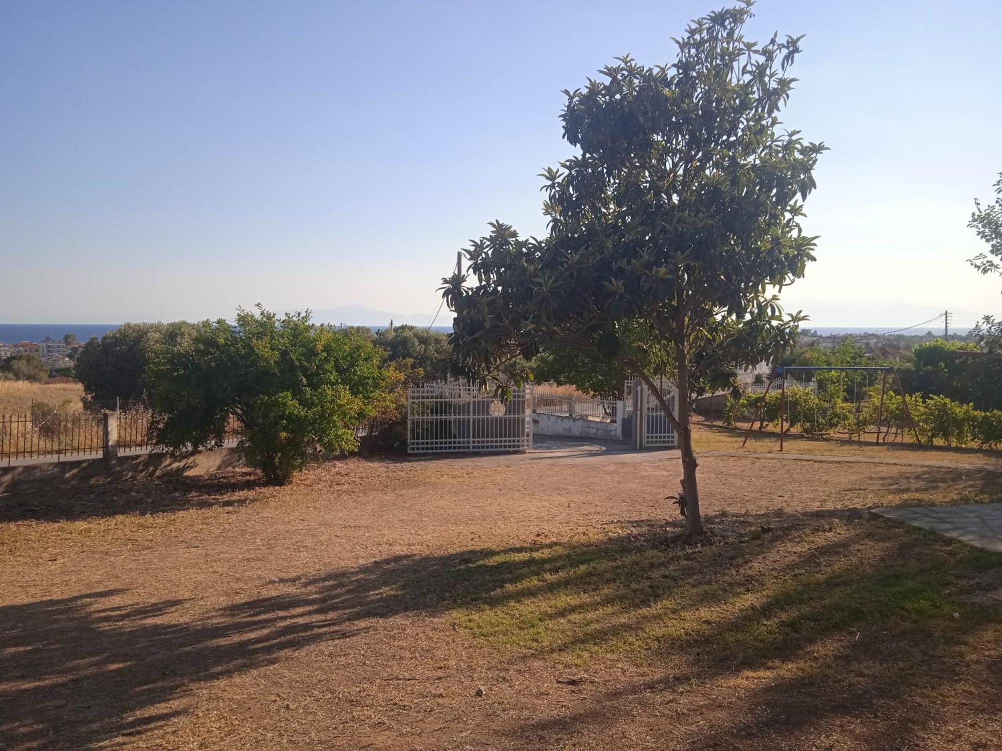 Belvedere Holiday home Flogita